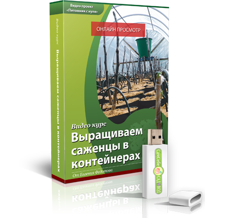 Блок 2 — Саженцы в контейнерах