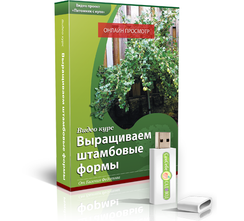 Блок 4 — Штамбовые формы