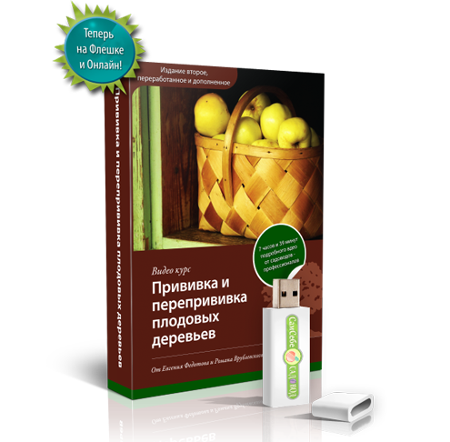 Блок 5 — Прививка и перепрививка