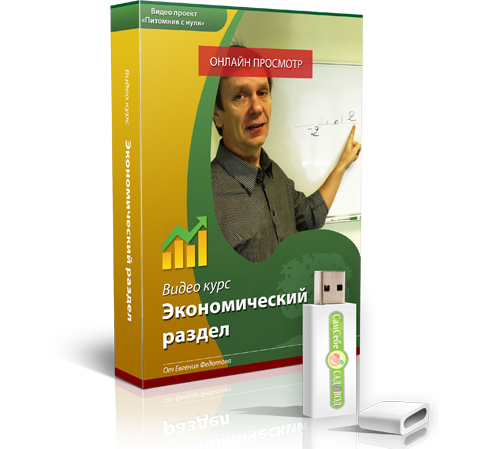 Блок 6 — Экономический раздел