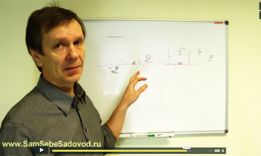 Скриншот урока 12